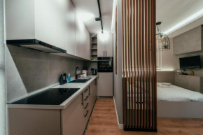 Luxury studio in city center